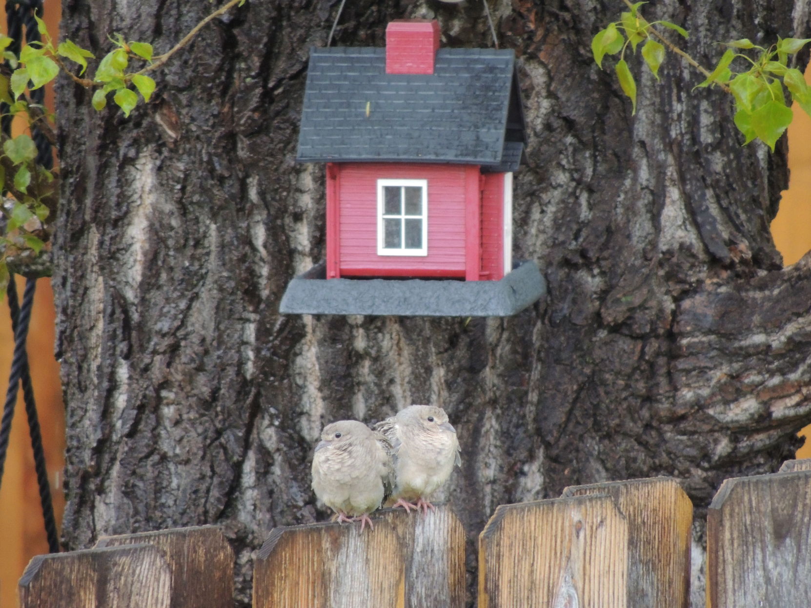House Hunting?